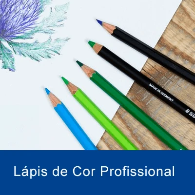 Lápis de cor profissional