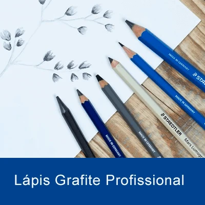 Lápis Grafite Profissional
